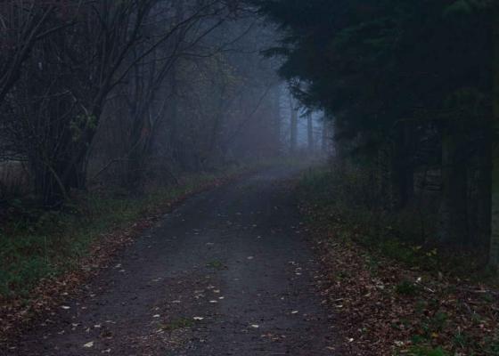 Per Bak Jensen: The Road